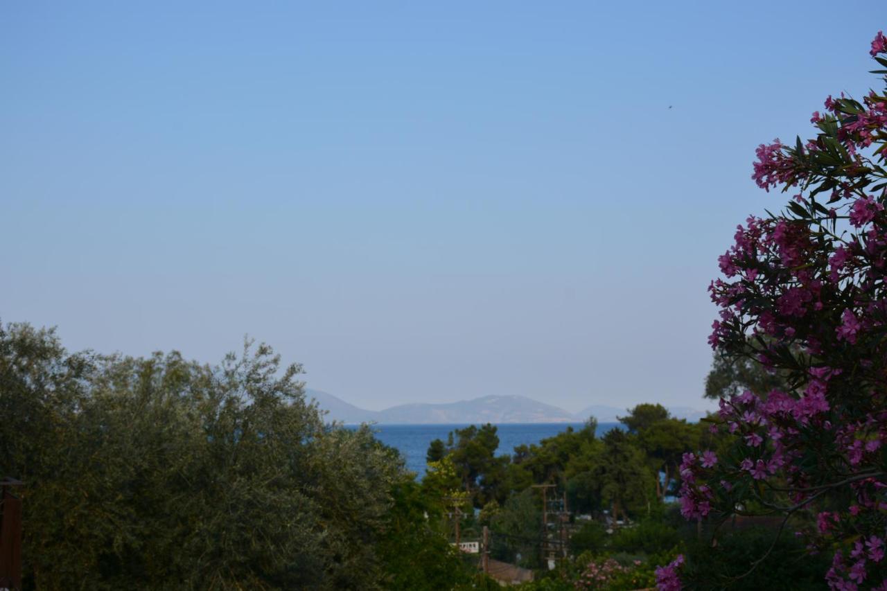 Ξενοδοχείο Αριστοτέλης Ξενοδοχείο Epidaurus Εξωτερικό φωτογραφία